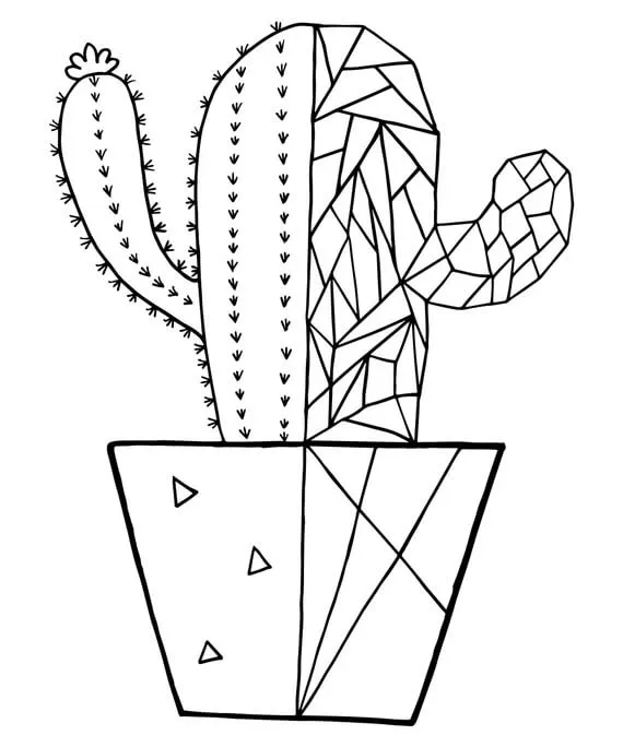 Cactus 35